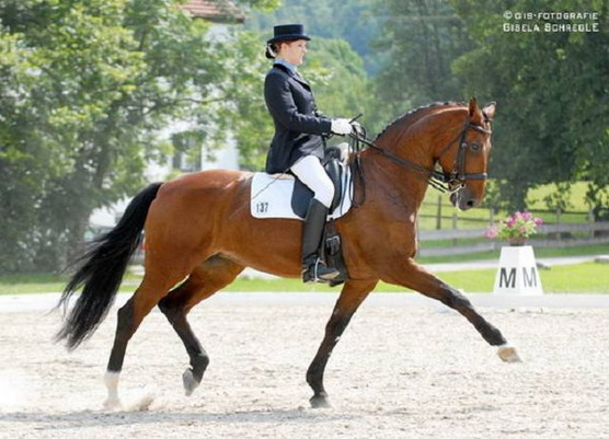 Gucci mit Dani in Oberland Thann M/B-Dressur 2ter Platz