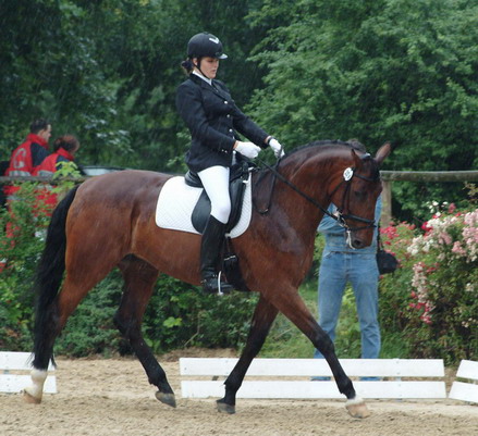 Gucci mit Daniela A-Dressur in Aufkirchen 2005 3ter Platz